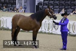 25R13_14253 thumbnail