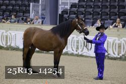 25R13_14254 thumbnail