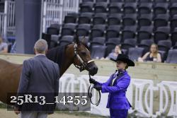 25R13_14255 thumbnail