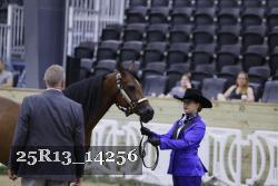 25R13_14256 thumbnail