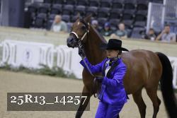 25R13_14257 thumbnail