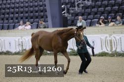 25R13_14260 thumbnail