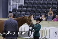25R13_14264 thumbnail