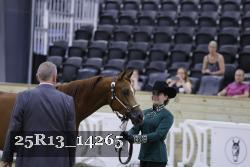 25R13_14265 thumbnail