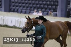 25R13_14266 thumbnail
