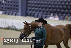 25R13_14267 thumbnail