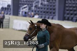 25R13_14268 thumbnail