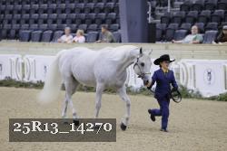 25R13_14270 thumbnail