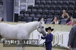 25R13_14272 thumbnail