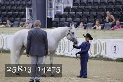 25R13_14275 thumbnail