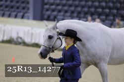 25R13_14277 thumbnail