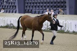 25R13_14279 thumbnail