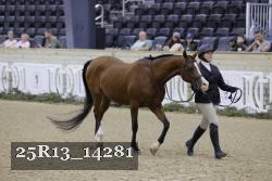 25R13_14281 thumbnail
