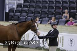 25R13_14282 thumbnail