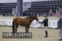 25R13_14283 thumbnail