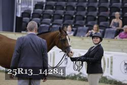 25R13_14284 thumbnail