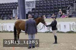 25R13_14285 thumbnail