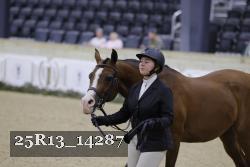 25R13_14287 thumbnail