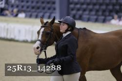 25R13_14288 thumbnail