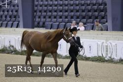 25R13_14290 thumbnail