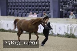 25R13_14291 thumbnail