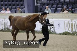 25R13_14292 thumbnail