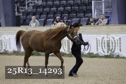 25R13_14293 thumbnail