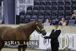 25R13_14294 thumbnail