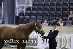 25R13_14295 thumbnail
