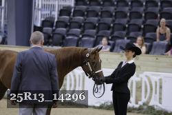 25R13_14296 thumbnail