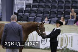 25R13_14297 thumbnail