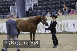 25R13_14298 thumbnail