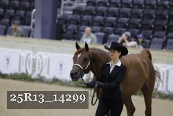 25R13_14299 thumbnail