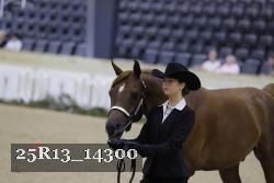 25R13_14300 thumbnail