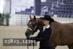 25R13_14301 thumbnail