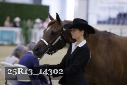 25R13_14302 thumbnail