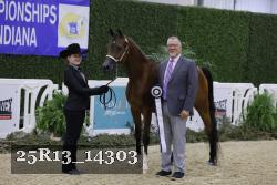 25R13_14303 thumbnail