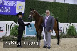 25R13_14304 thumbnail
