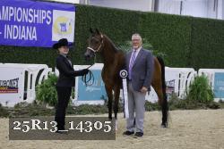 25R13_14305 thumbnail