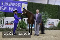 25R13_14306 thumbnail