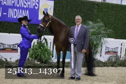 25R13_14307 thumbnail