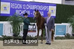 25R13_14309 thumbnail
