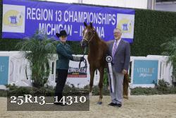 25R13_14310 thumbnail