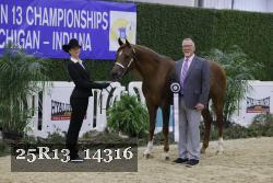 25R13_14316 thumbnail