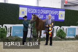 25R13_14318 thumbnail