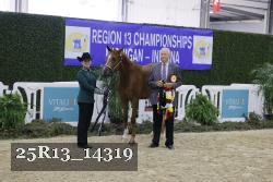 25R13_14319 thumbnail