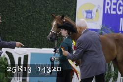 25R13_14320 thumbnail