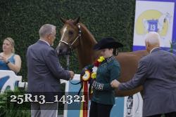 25R13_14321 thumbnail