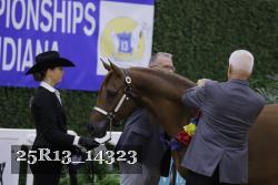 25R13_14323 thumbnail