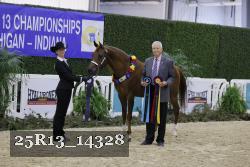 25R13_14328 thumbnail